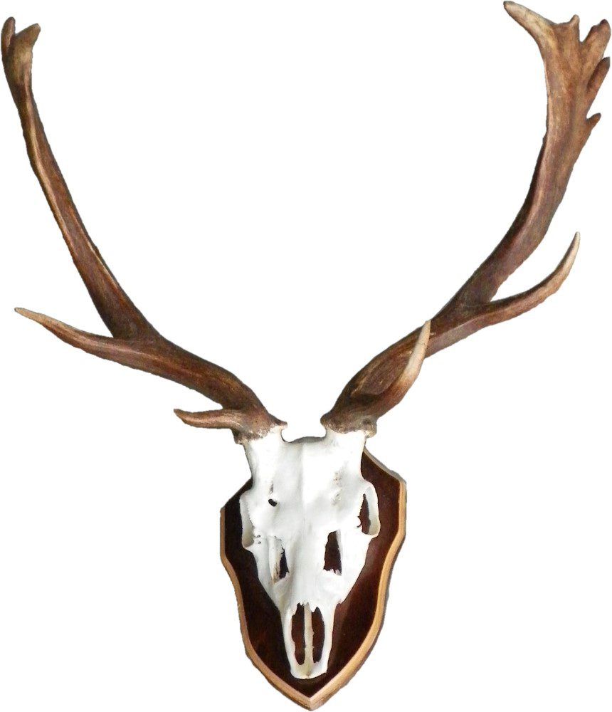 Skull Deer Red Natural 64x47x60cm 8716522029079 Mars & More